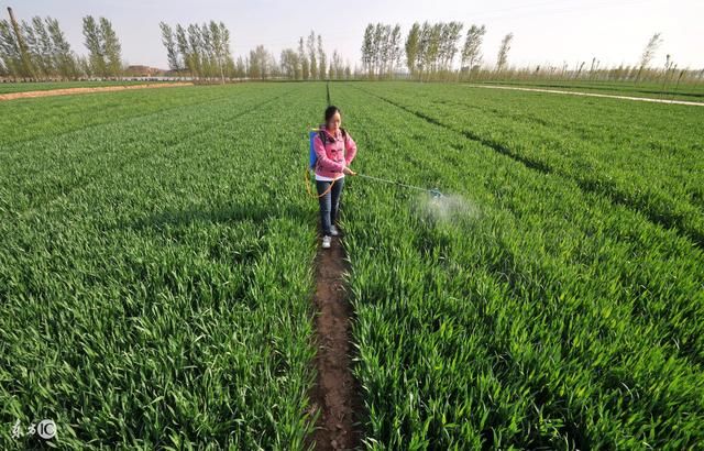 农村出嫁女,户口在娘家,是否还可以继承父母的