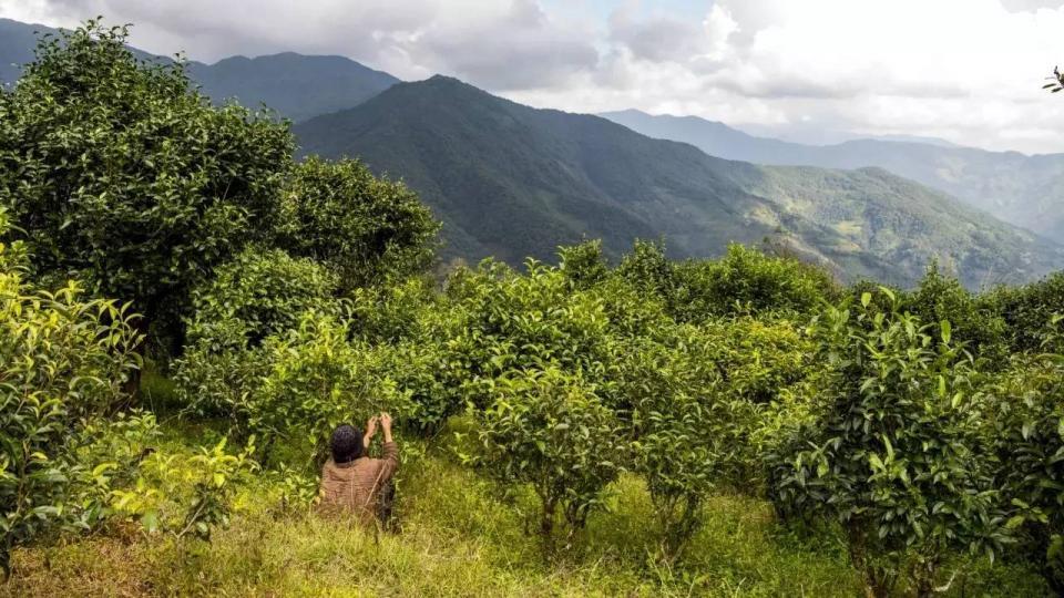 美丽乡村景东县花山镇芦山村