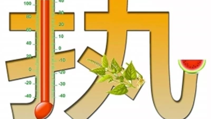 热热热！今年夏天，极端高温是否会成为常态？