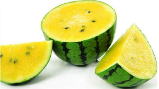 现在的西瓜多种多样,有籽的无籽的,大到几十斤的巨无霸,小到拇指大小