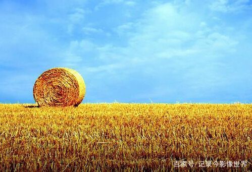 国宣布将对粮食加征25%的关税,一场更恐怖的