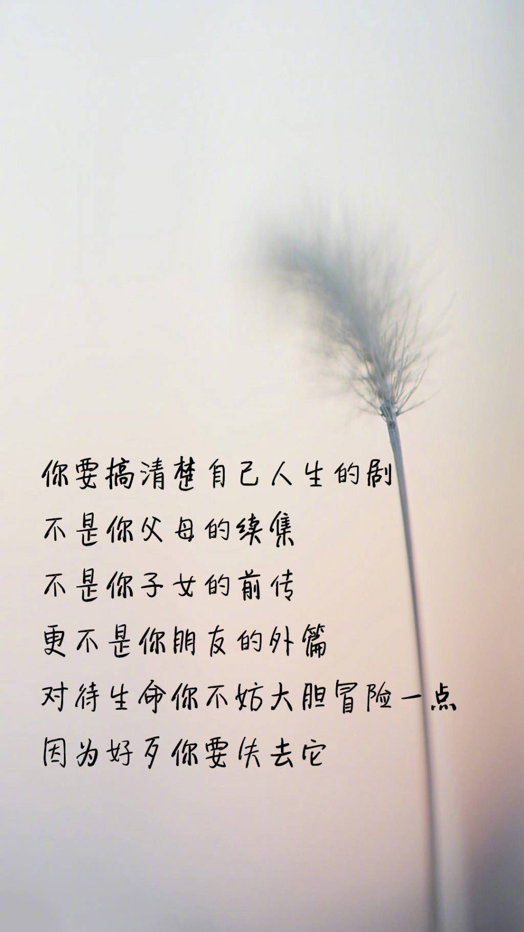 一大把励志带字壁纸各种风格:心若没有栖息的