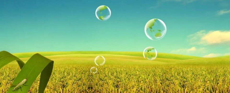 中国亮剑,对美国进口农产品加25%的关税,豆粕