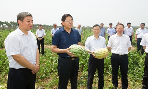 戴启远到濉溪县督查调研农村环境"三大革命",美丽乡村和扶贫工作