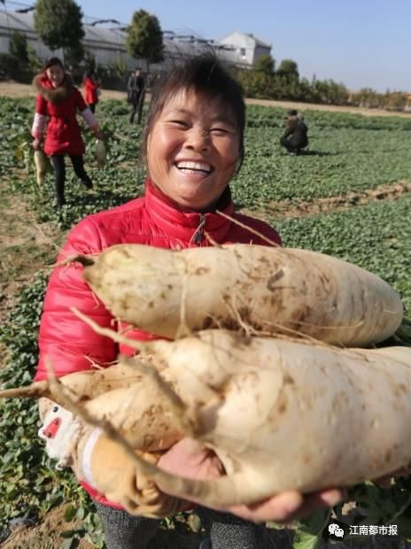 为什么江西有这么多人向往乡村,这是我听过最