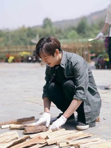 《向往的生活》嘉宾种菜都是假的,这一细节暴