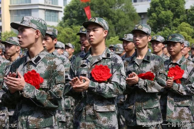 准备当兵大学生须知:专科大学生当兵和本科大