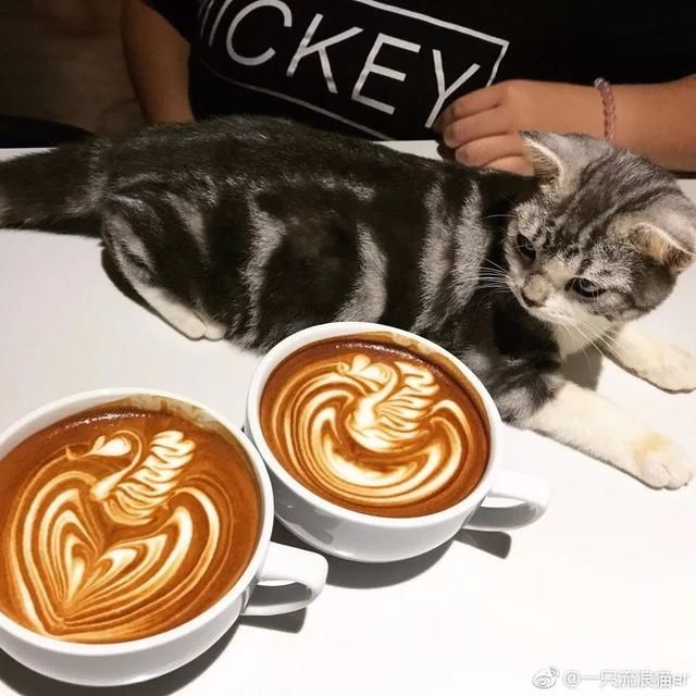 ins风、tiffany蓝、少女粉…全海口最好拍照的餐