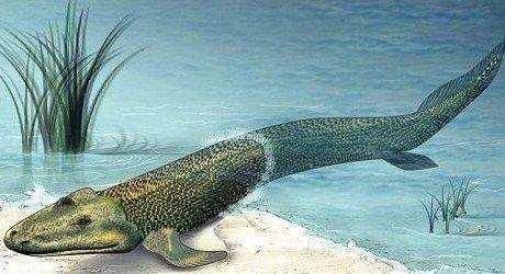 若人类灭绝,谁会取代人类成为地球统治者?科学