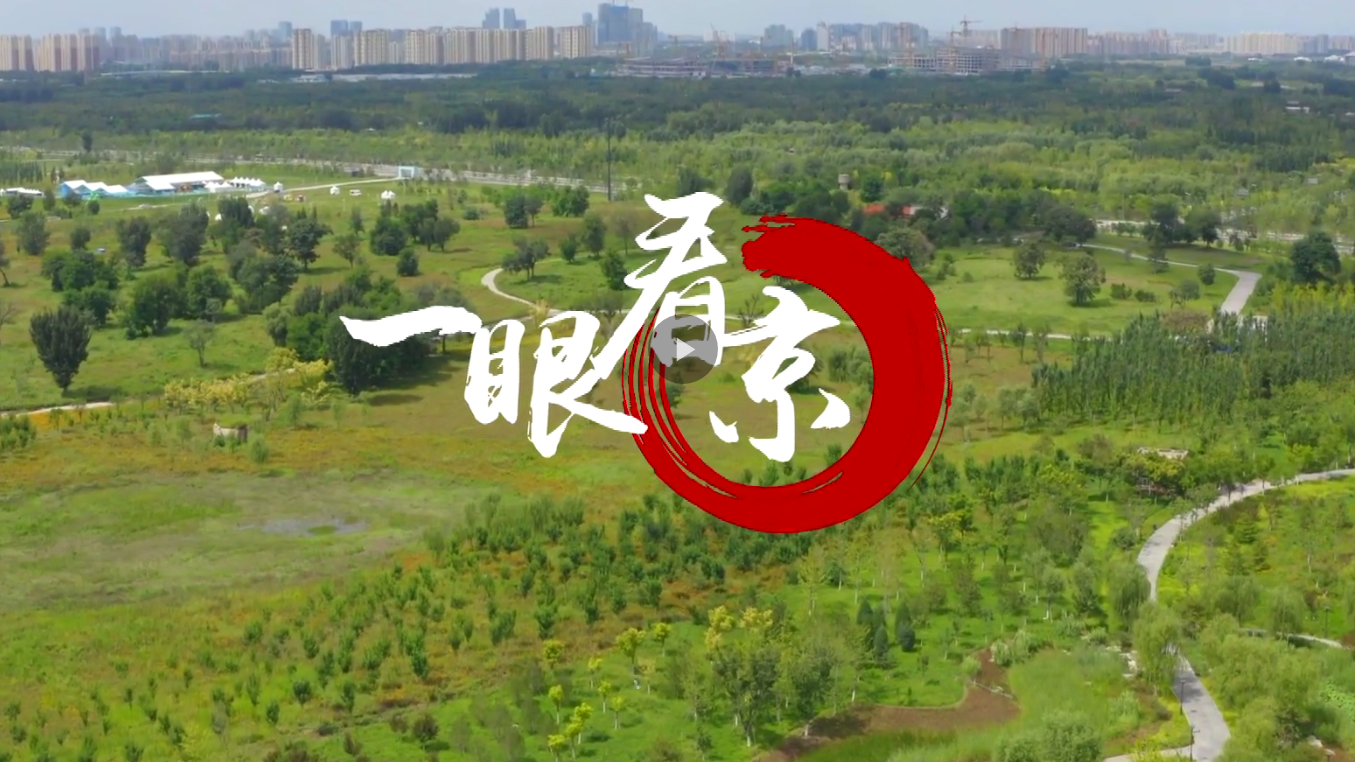 一眼看京—通州区 城市绿心森林公园 一眼看京—通州区 城市绿心森林公园