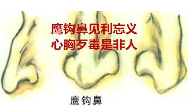 面相学:什么样的鼻子能富贵,什么样的鼻子不存