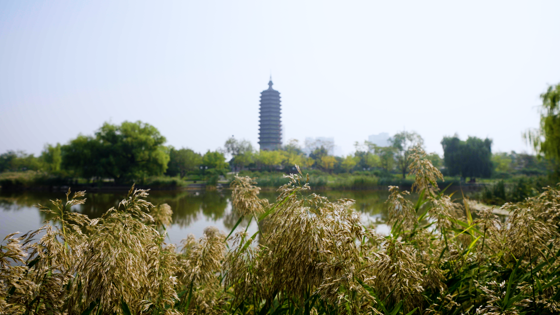 中国 北京燃灯塔 Randeng Pagoda,Beijing, China