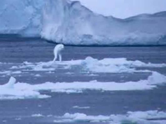 南极的30米高人类,形体还像鱼,到底是什么生物