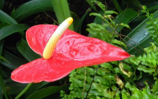 为何老实人总受欺负?领导的这四个考虑很现实