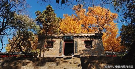 空氣氣候佳,境內擁有日照海濱國家森林公園,五蓮山,浮來山等眾多景點