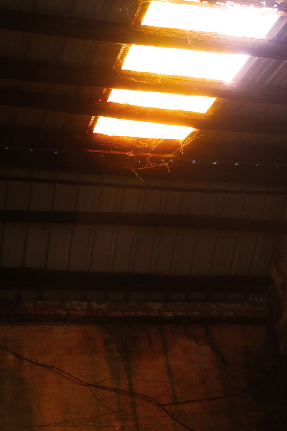 深圳曾经的小香港,如今一片荒芜,仅两人留守