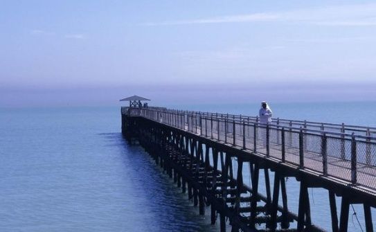 八字偏强什么意思?运气越来越好的八字,八字看