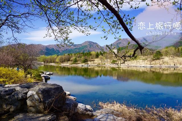 春去春又回来!地铁西郊线开通告别拥堵,今日北