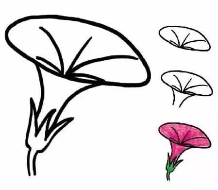 简笔画各种植物简笔画大全,可以直接涂色哦!(为