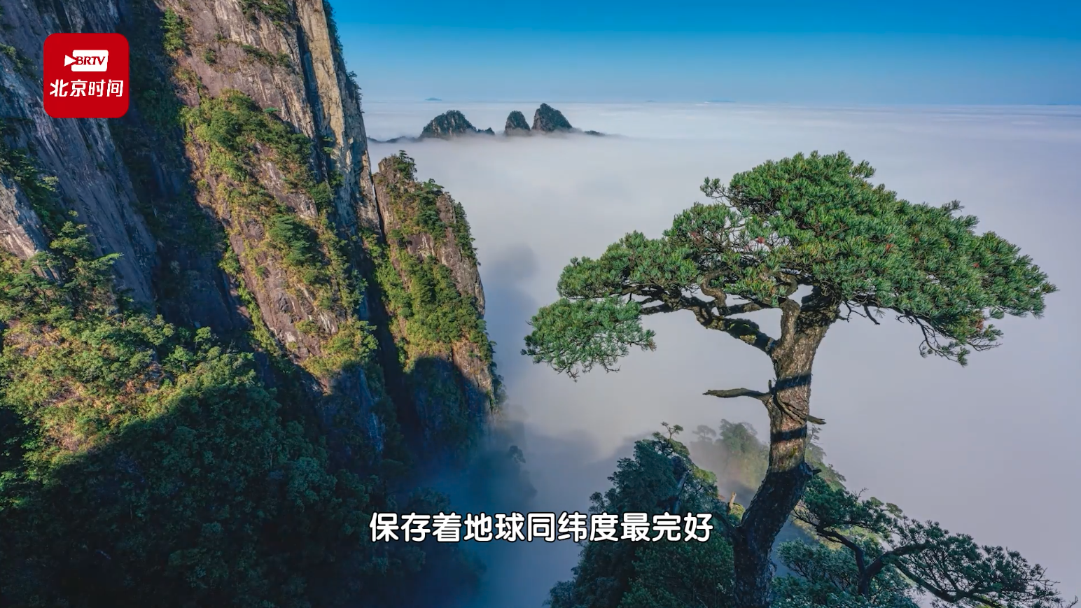来郴州，徒步原始森林 到莽山，探访“蛇中大熊猫”