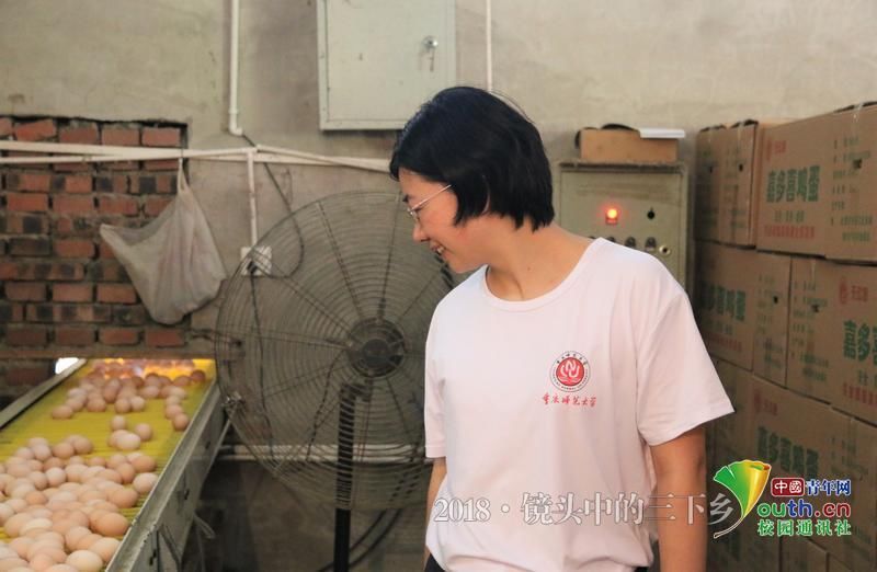 重庆大学生走进綦江:为乡村振兴建言献策