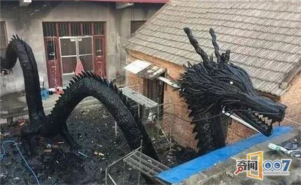 农村的院子里出现了一条黑色的龙，小伙的一席话让人惭愧!