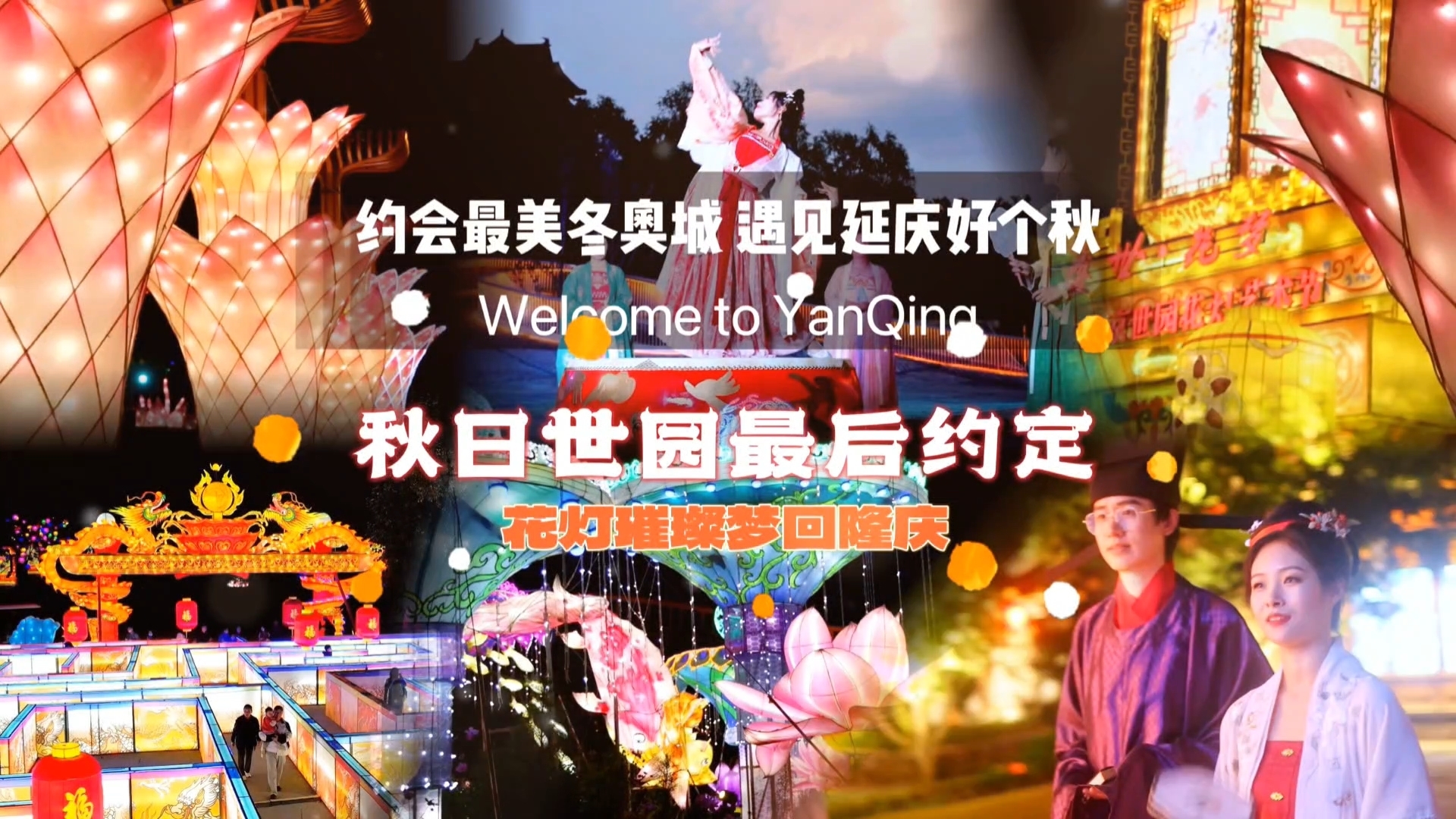 花灯璀璨欢度国庆 世园公园夜景美不胜收