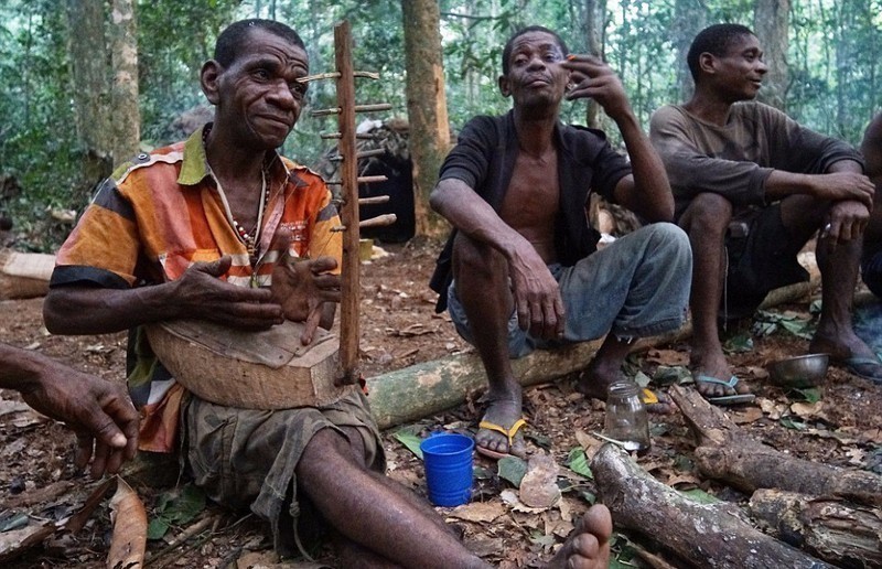 热带雨林多变的气候使得巴卡人适应了多种多样的天气,他们在村庄里和