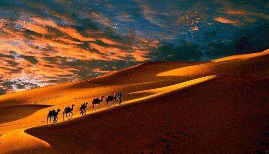 这座城市相当于中国的迪拜,宝马是穷人开的车