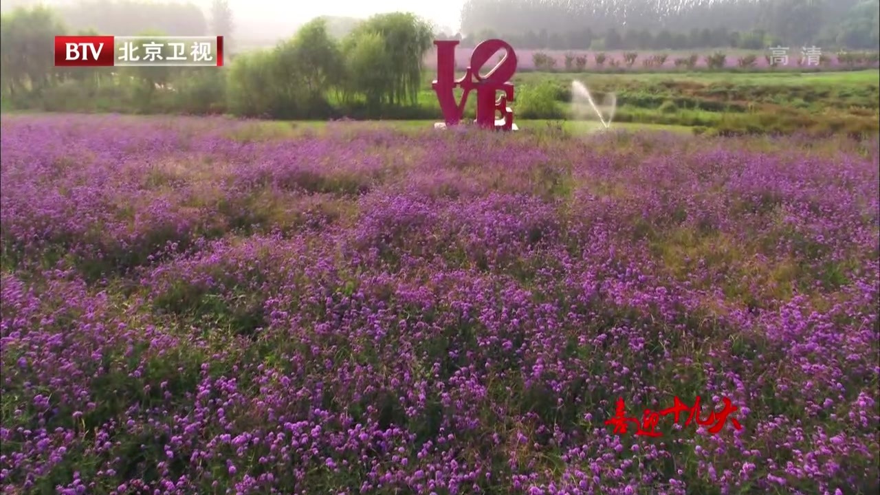 大型航拍系列报道:国门印象 绿海甜园 大型航拍系列报道:国门印象 绿海甜园