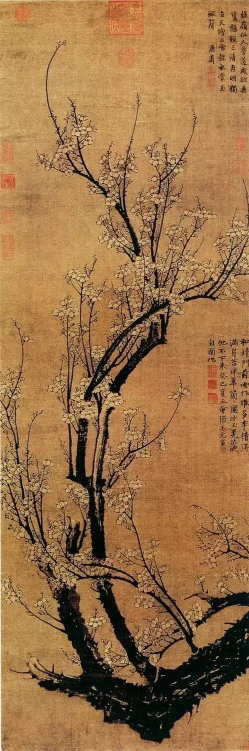 元代王冕 梅花图元明以来,用梅花作画更多.