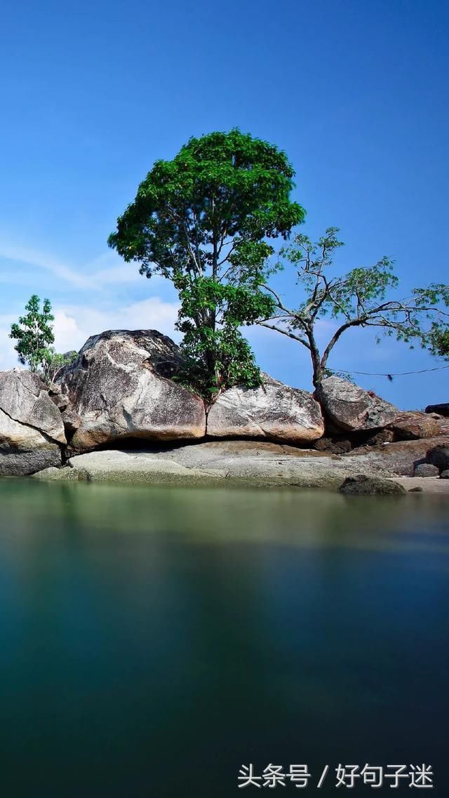 关于人生感悟经典句子说说,句句点醒梦中人!