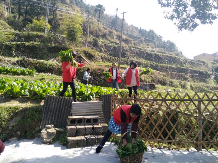 慈孝文化如何传递发扬? 看青田黄垟乡出了啥妙