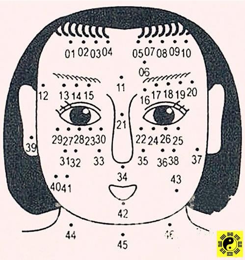 痣相图解:面痣分析(女人篇)