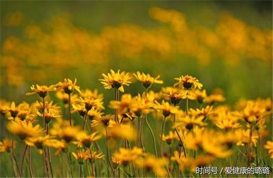 去红血丝偏方怎样去除红血丝偏方,中药去红的