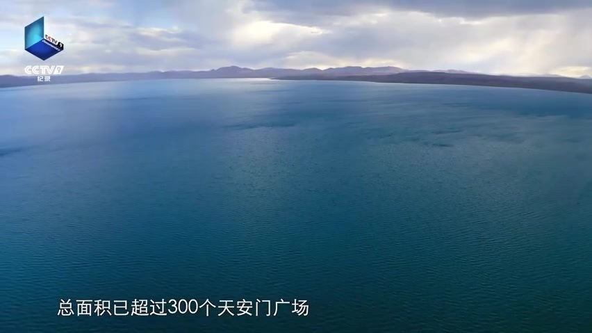 震撼!空中俯瞰辫状流沙河有多壮观 震撼!空中俯瞰辫状流沙河有多壮观