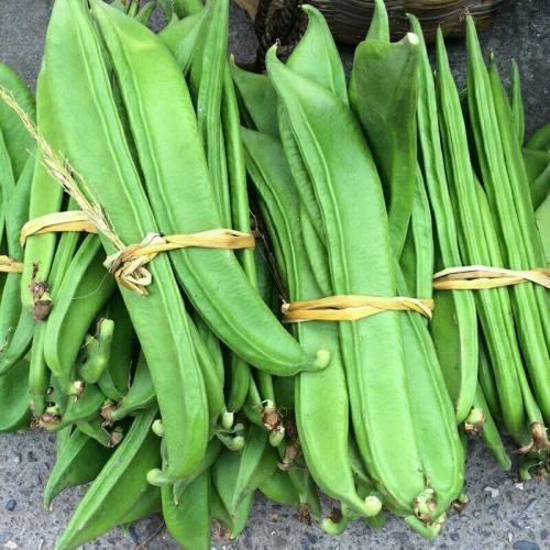 腹痛?泄泻?直肠肿瘤,这五大种菜吃好了,健康肠胃