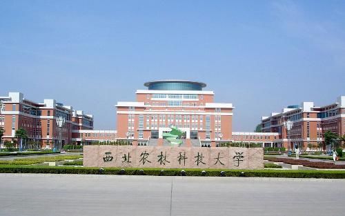 湖南大学、东北大学和西北农大,这三所大学真