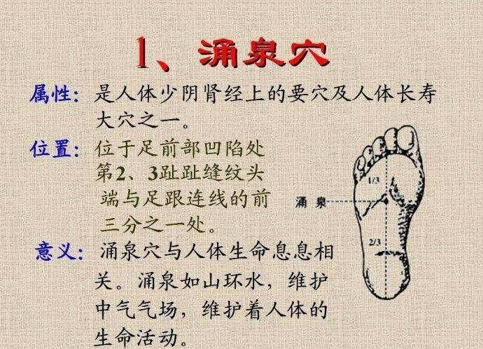 肾经走向经络图和功效,肾经络准确图,肾经经络位置图解(第2页)_大山谷图库