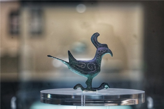 7、中国羌族博物馆内的青铜鸟 摄影 吴瑛.jpg