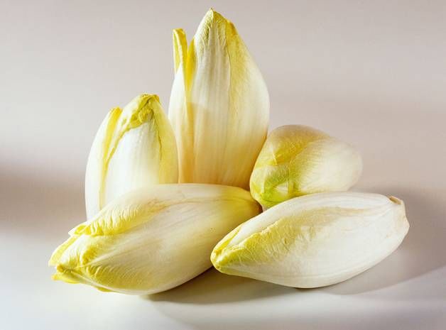 菊苣长得像娃娃菜,但营养价值极高,泡水喝有