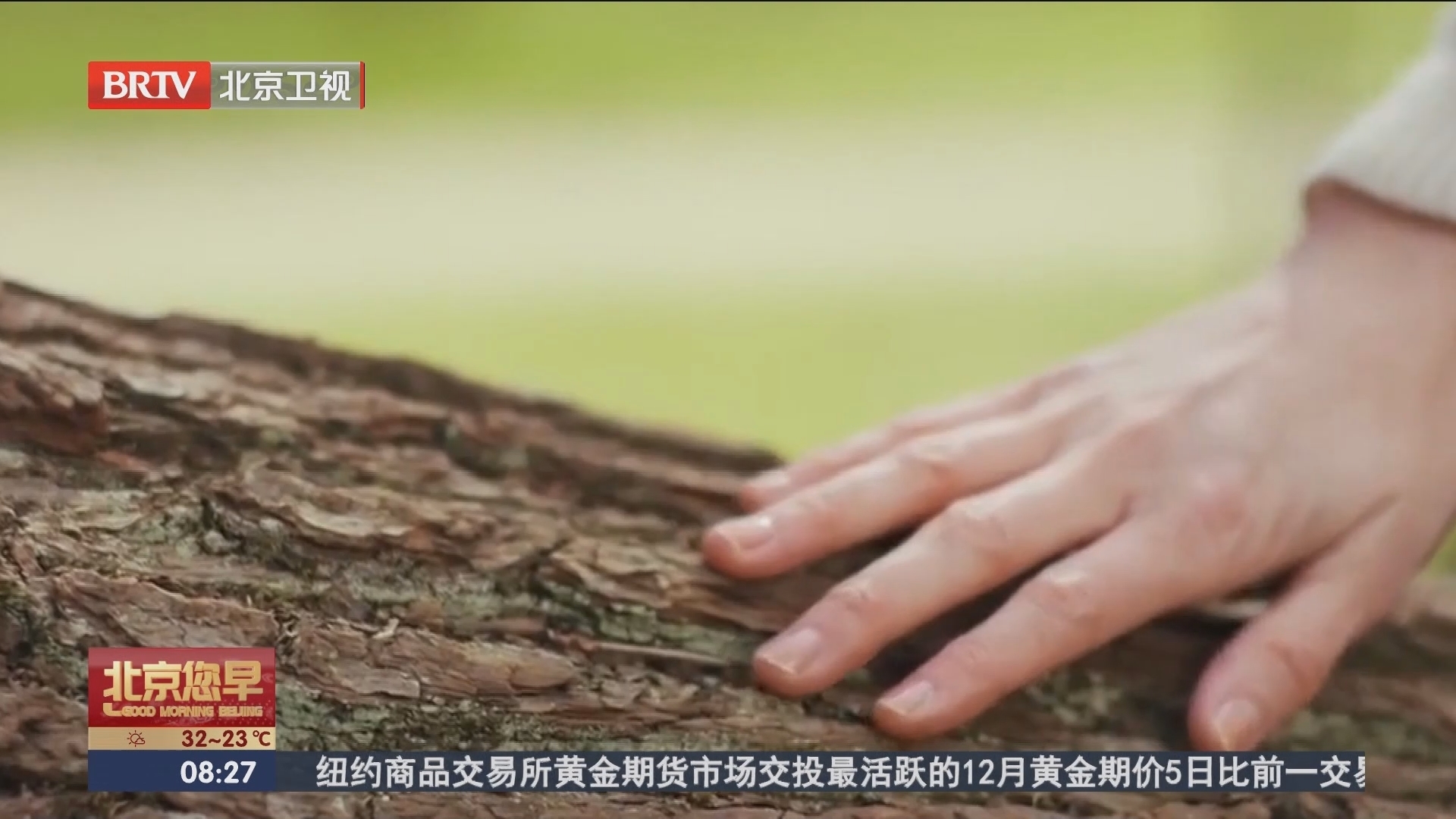 年轻人爱上“抱树疗愈” 如此减压靠谱吗？_北京时间