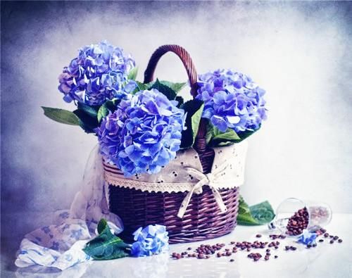 生活感悟励志句子15个,做自己的主人,不做情绪