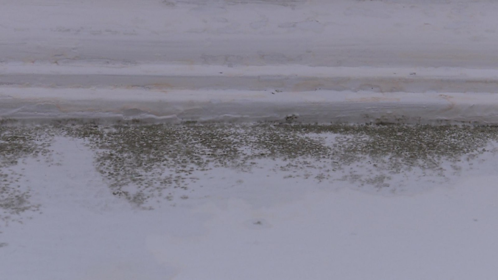 卫生间外墙洇水发霉4个月 施工方分析原因专家给出解决方案! 卫生间外墙洇水发霉4个月 施工方分析原因专家给出解决方案!