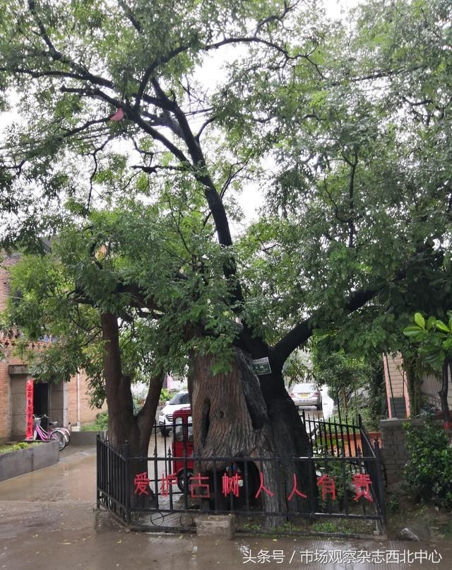 陕西省首家村级众创空间落户西安市鄠邑区坳河