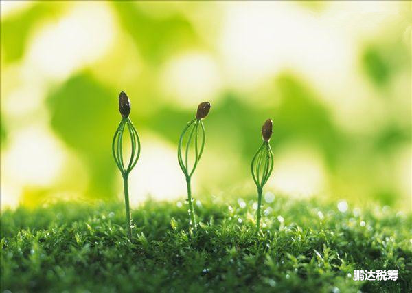 遇见销售返利该怎样做账?