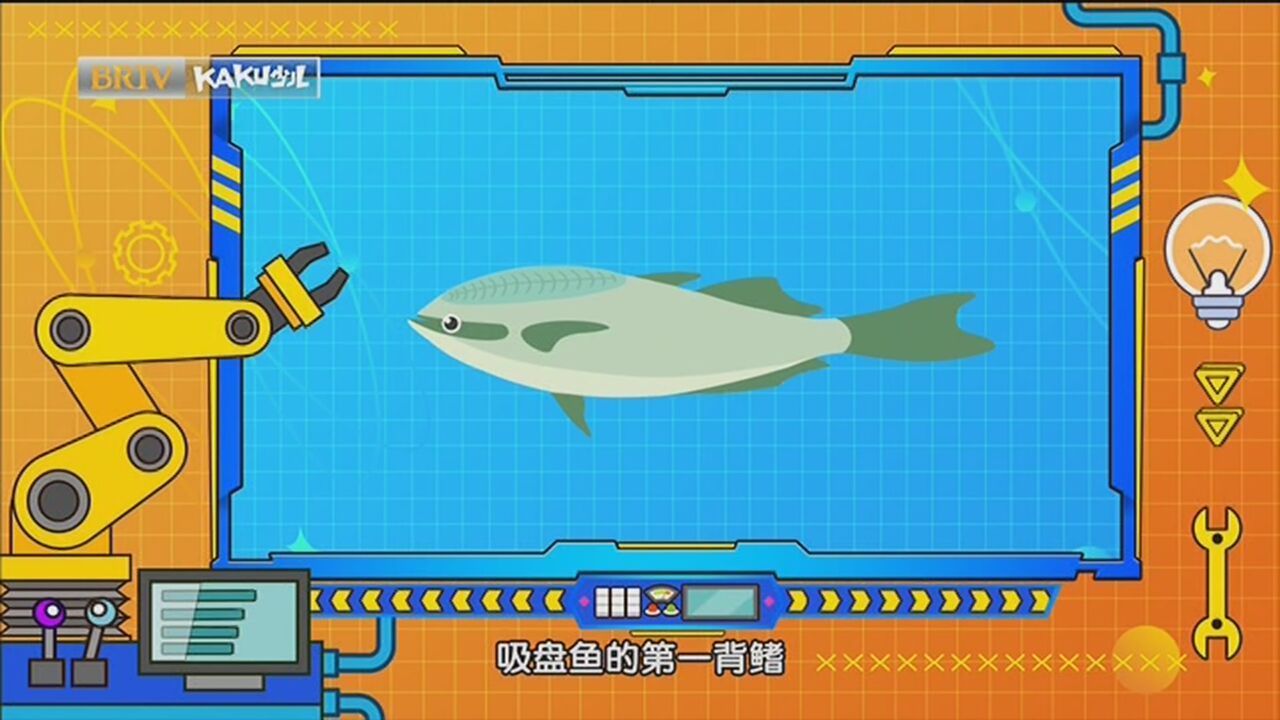 《七色光》20221201科技创新小达人