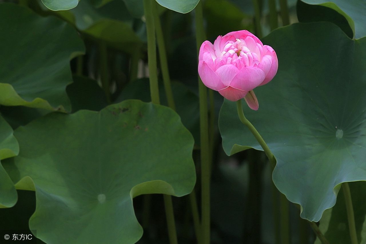 穿越小说排行榜 十大穿越小说推荐 十大经典穿