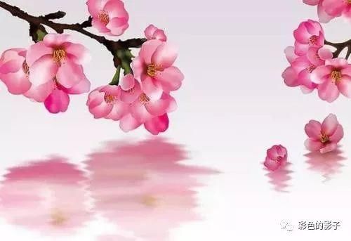 女人出生这几个时辰,天生丽质,相貌出众,桃花旺