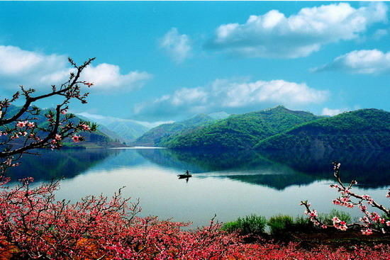 东北的支柱产业是直播?辽宁:我们这边旅游资